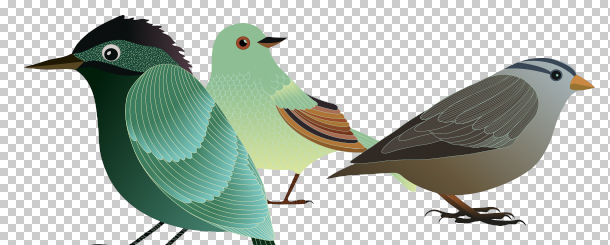 pájaro formato de imagen png